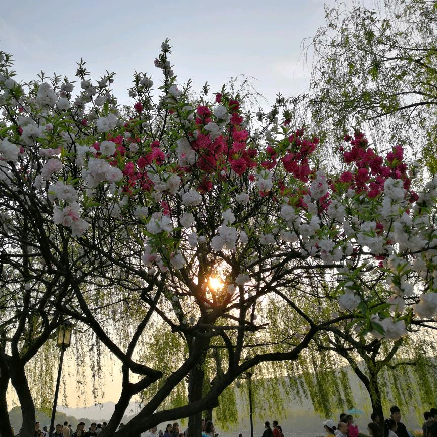 含着眼泪笑、最痛