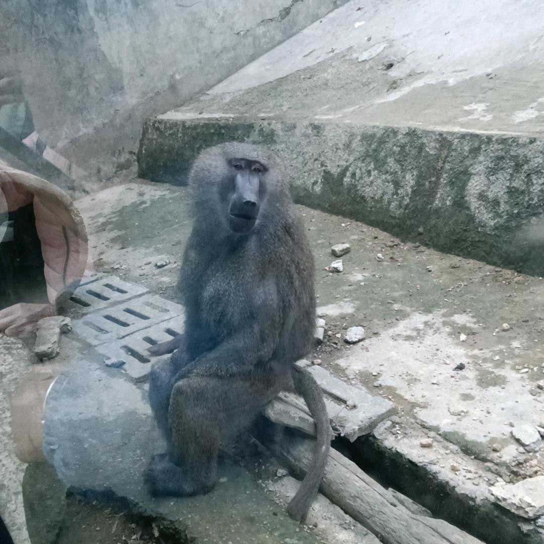 追求