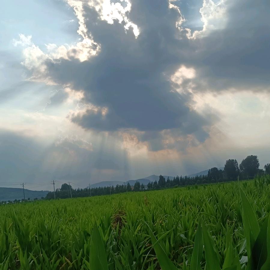 我想长胖点