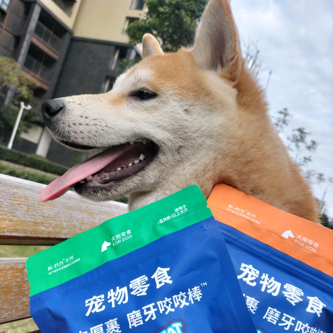 小～周