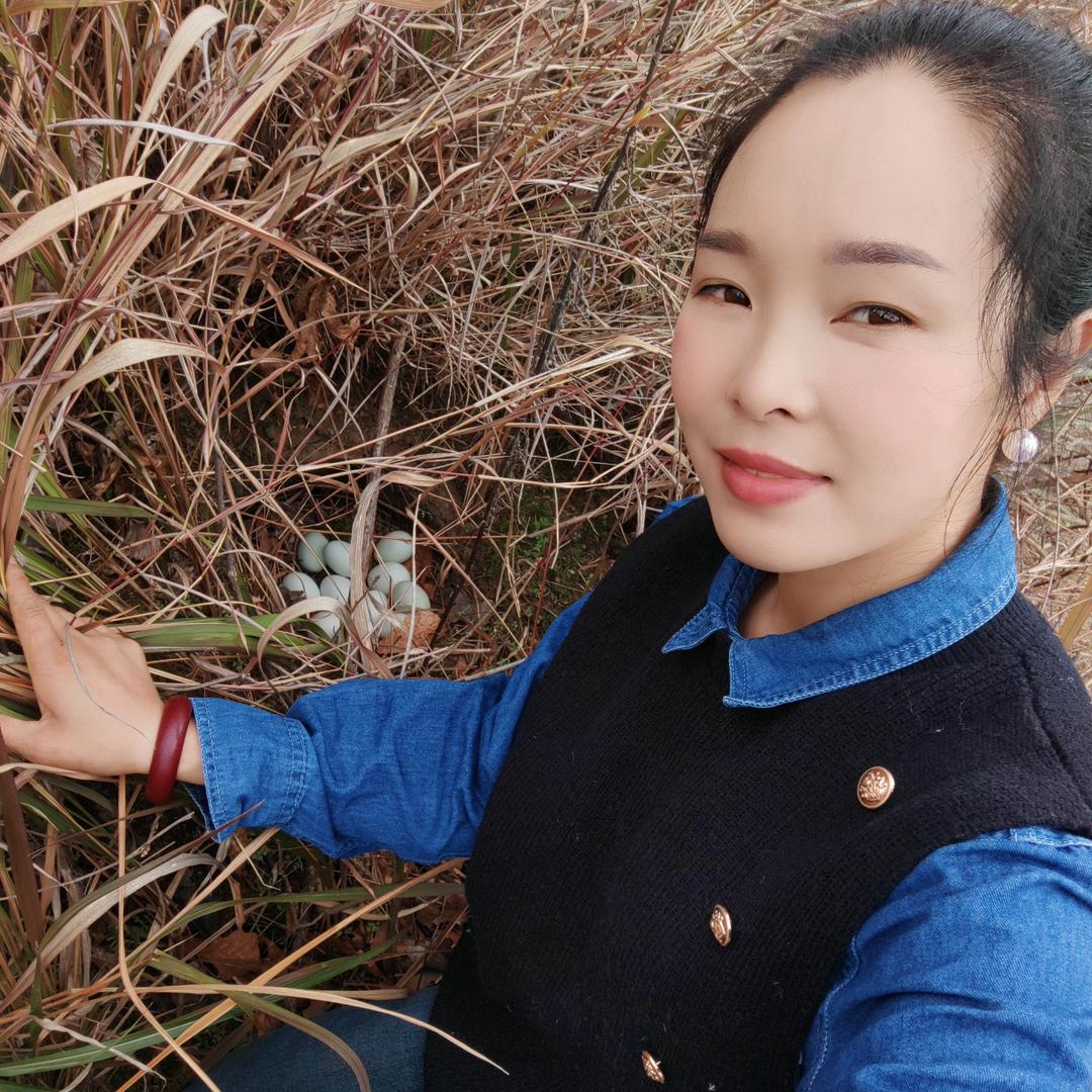 熊熊（橱窗带货）