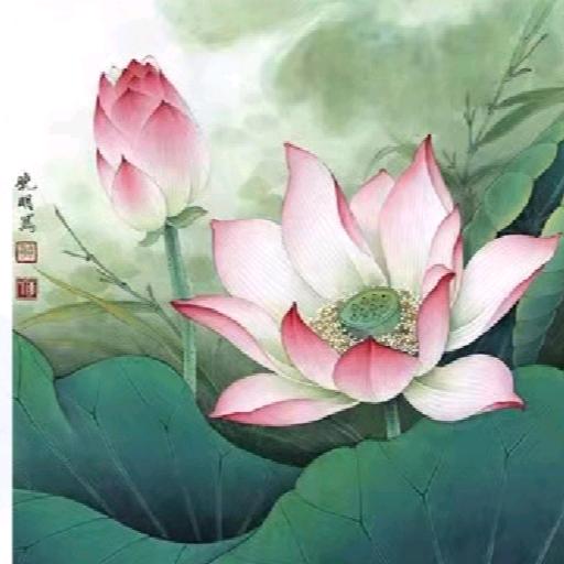 西红柿炒蛋