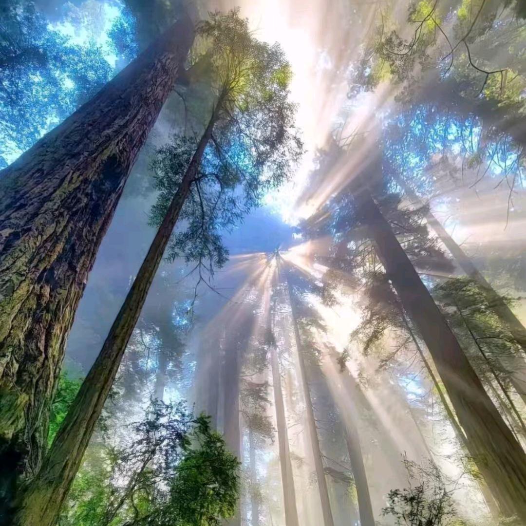 白天工地，晚上酒局