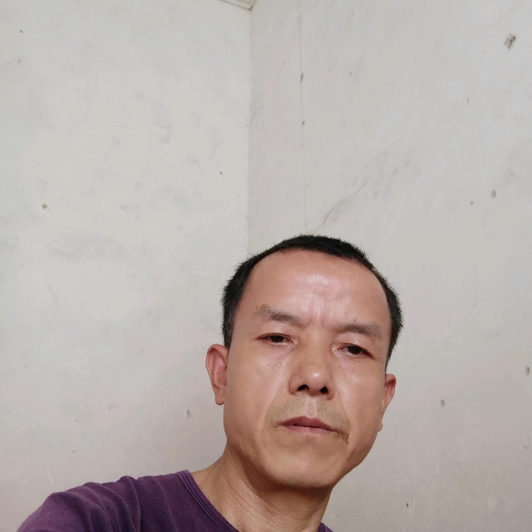 岁月情
