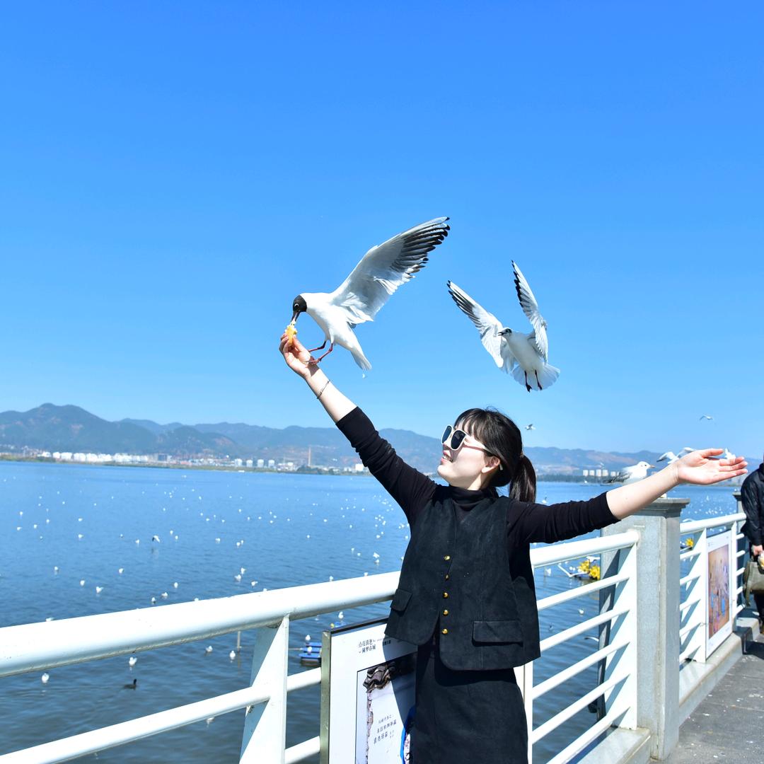 新的一年新的开始