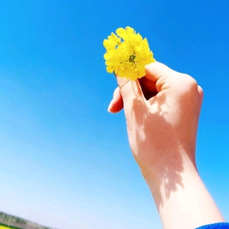 翠玉3457