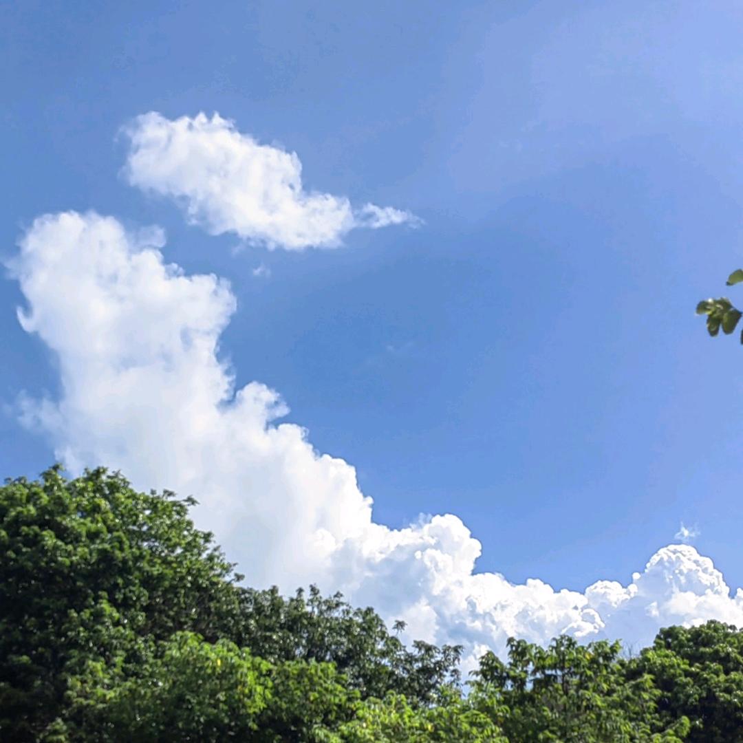 晨曦微光