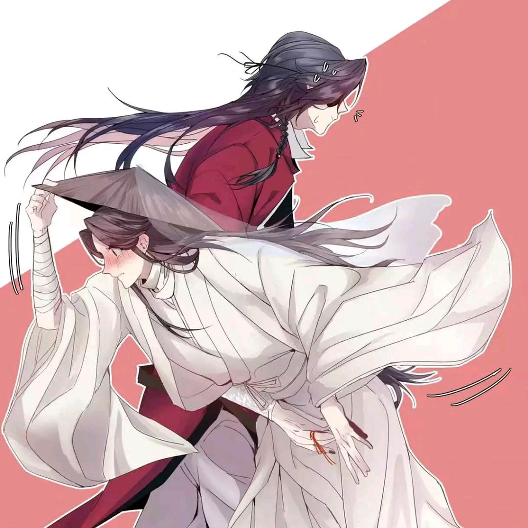 惜花怜蝶