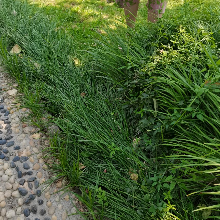 随心随缘