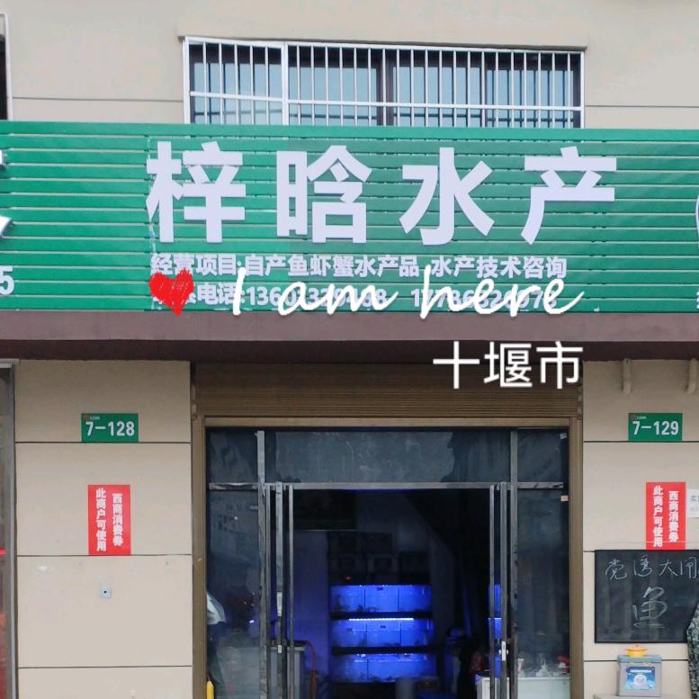 房县梓晗水产农产品经营部