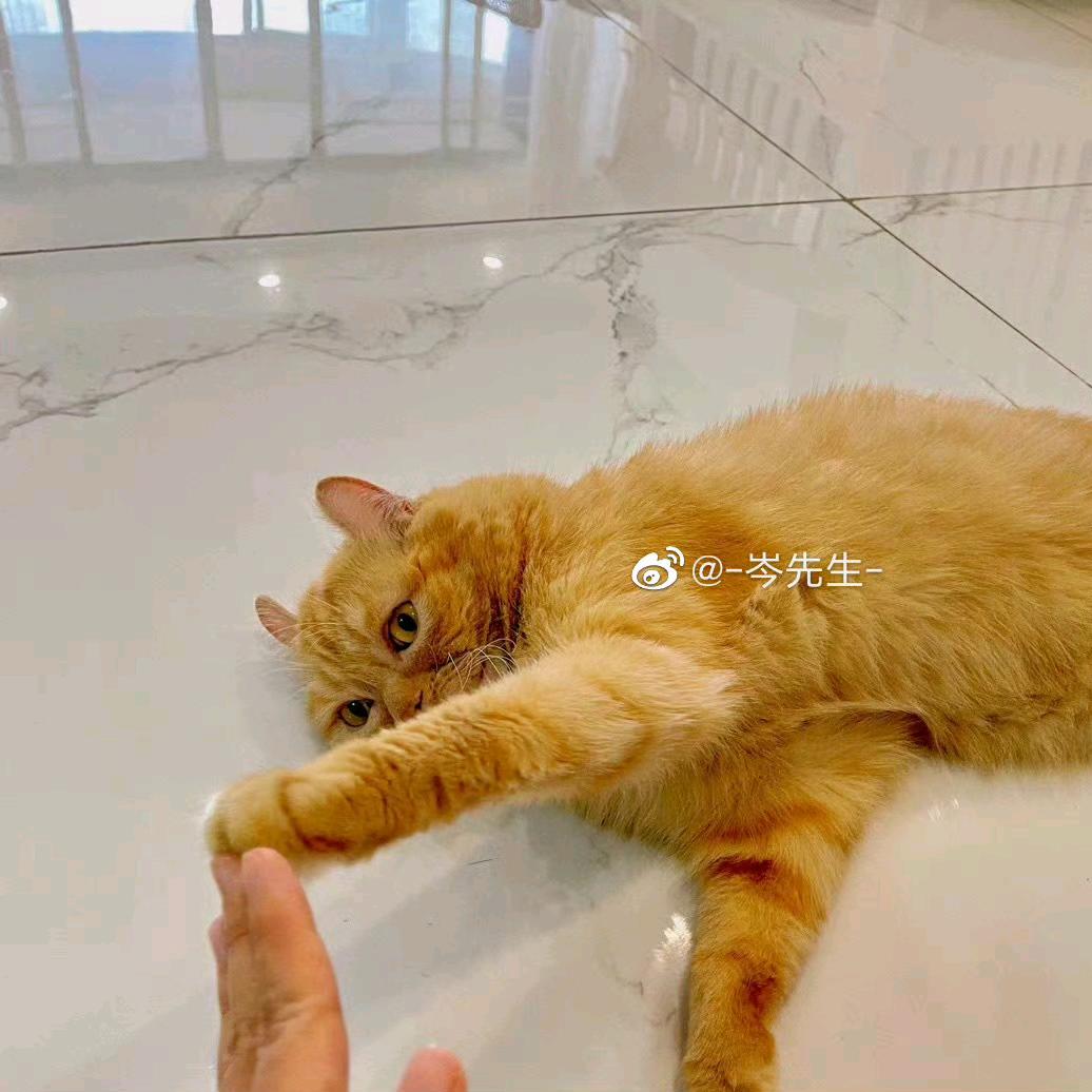 小鱼不摆烂🐟