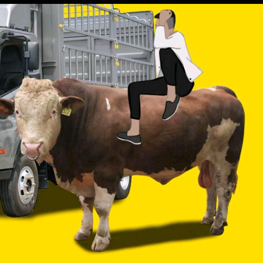 养牛人赵F巜代办》