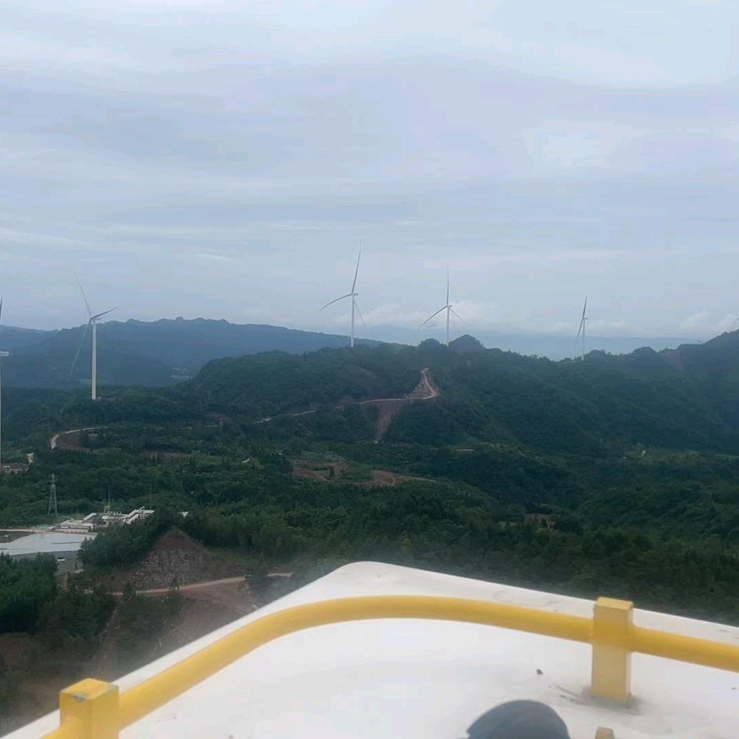 鲸航（航海咨询）