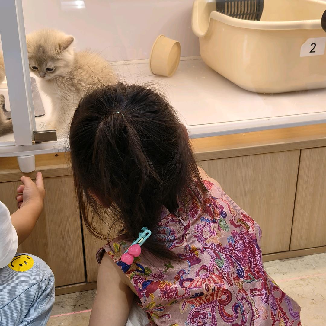 阿瑶是个小话唠