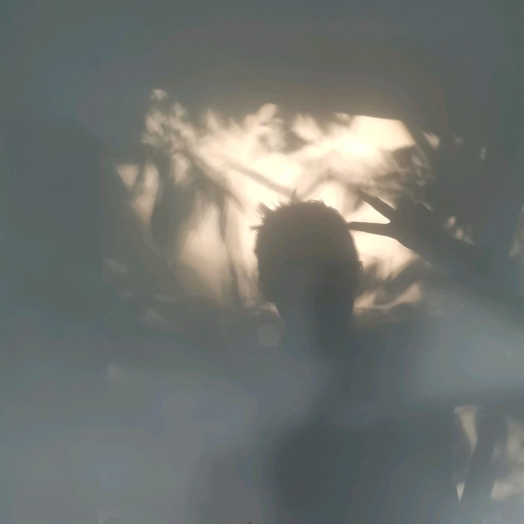 Song歌