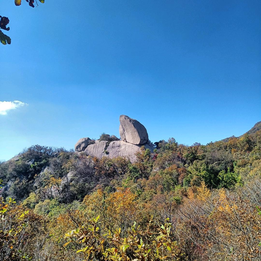 开心乐园 ❄️❄️