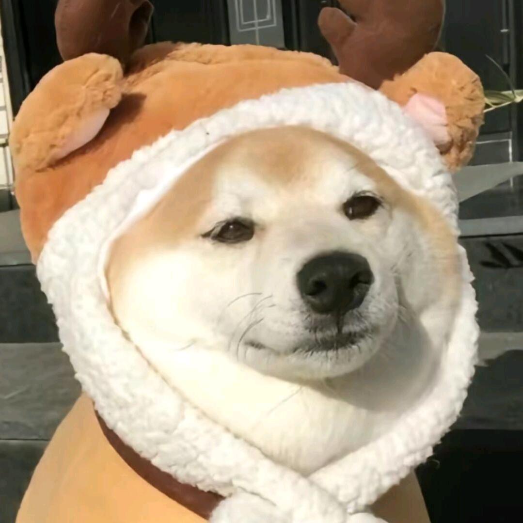 南星