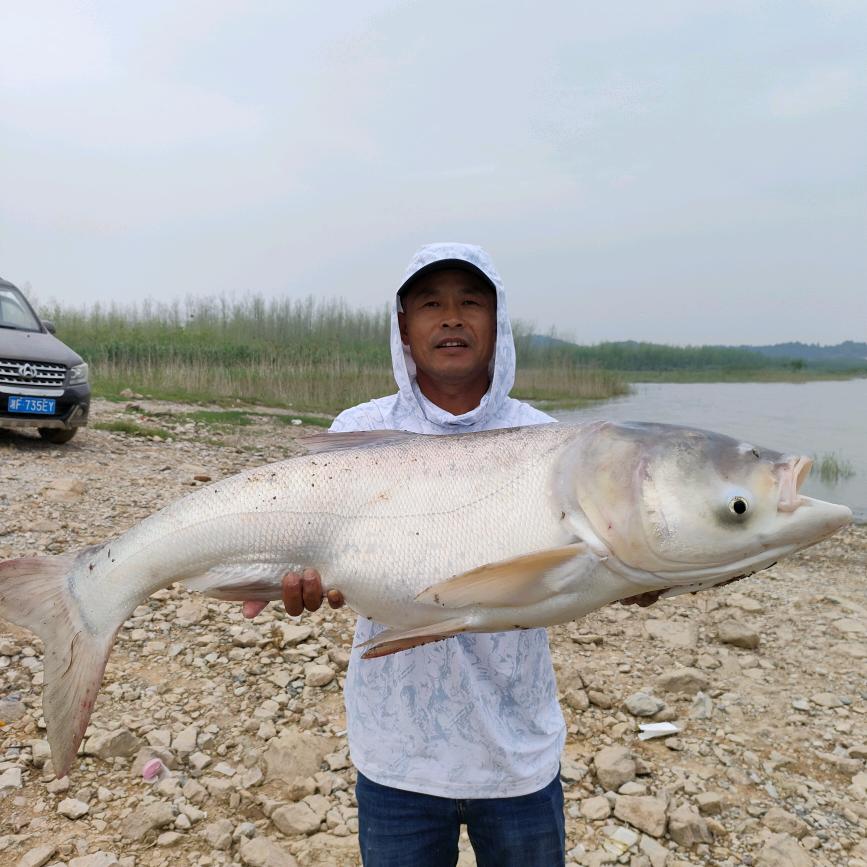 🌈业余钓手🌈