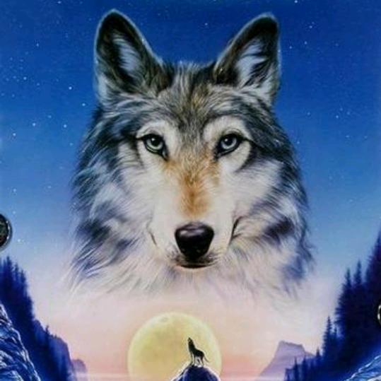 💫✨⭐️🐺北方的狼🐺⭐️✨💫