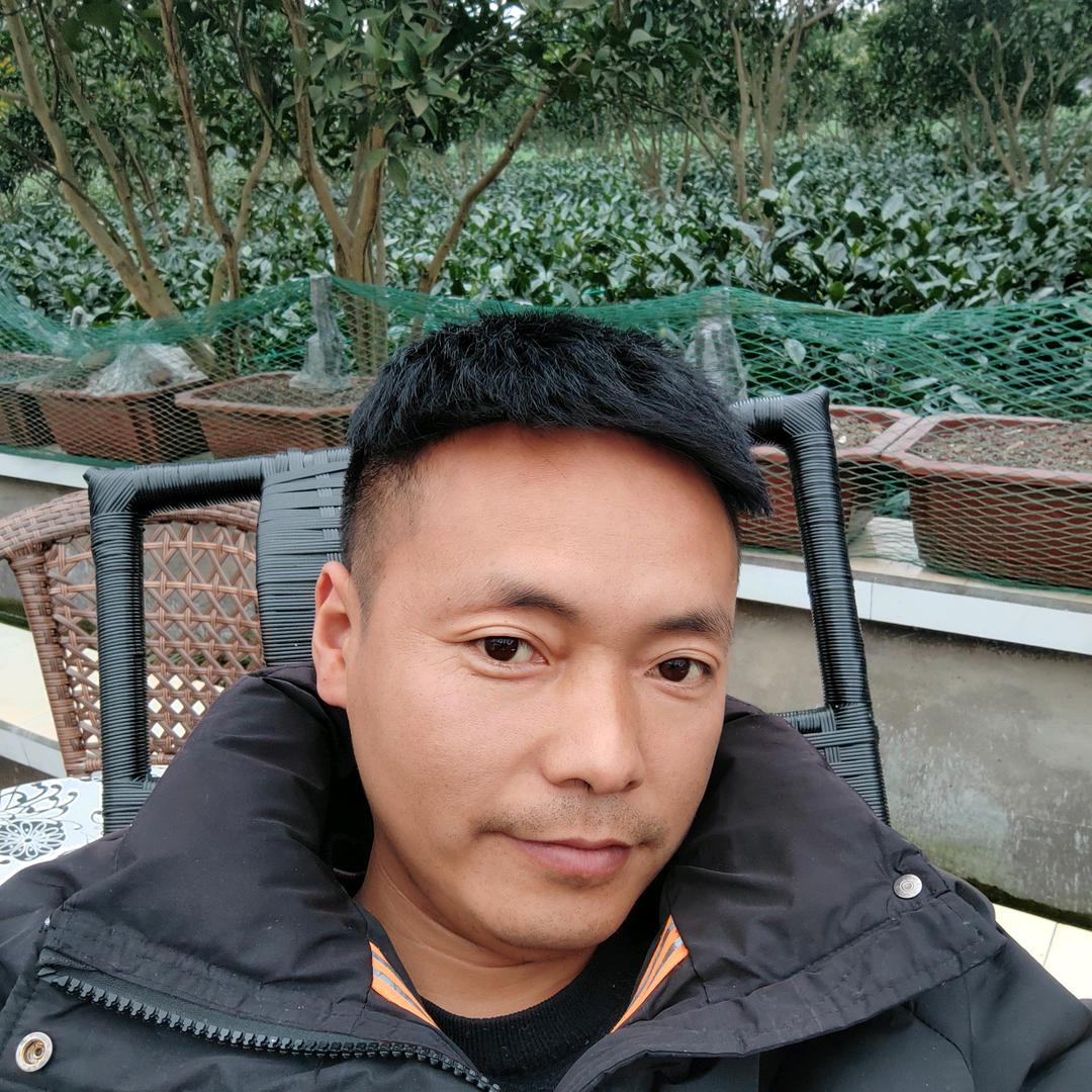 鱼的搬运工
