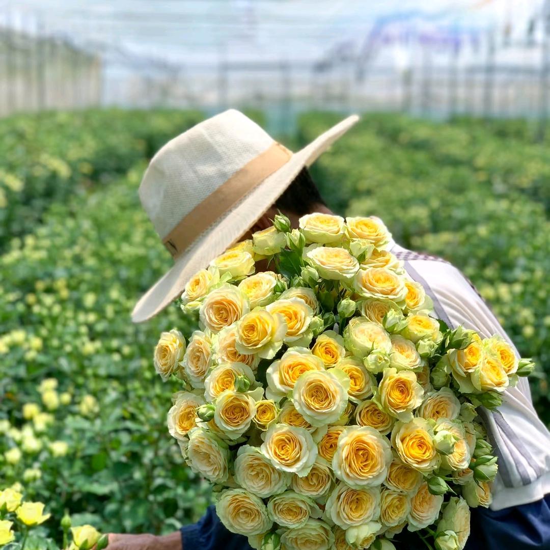 匠心花卉