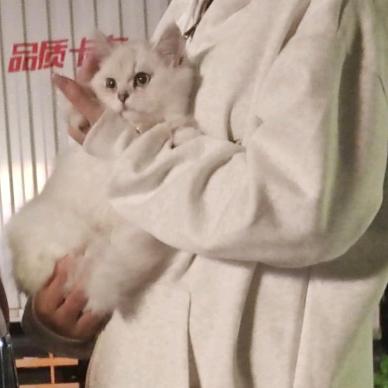 陈陌