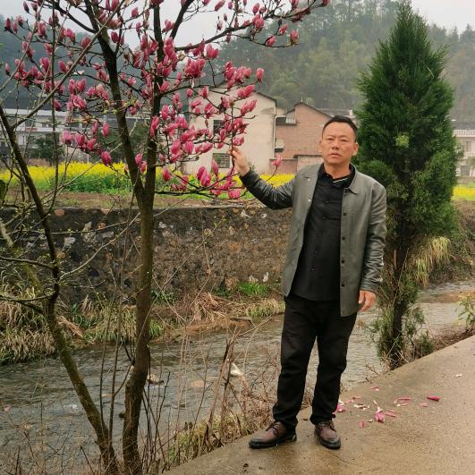 藏香猪养殖基地