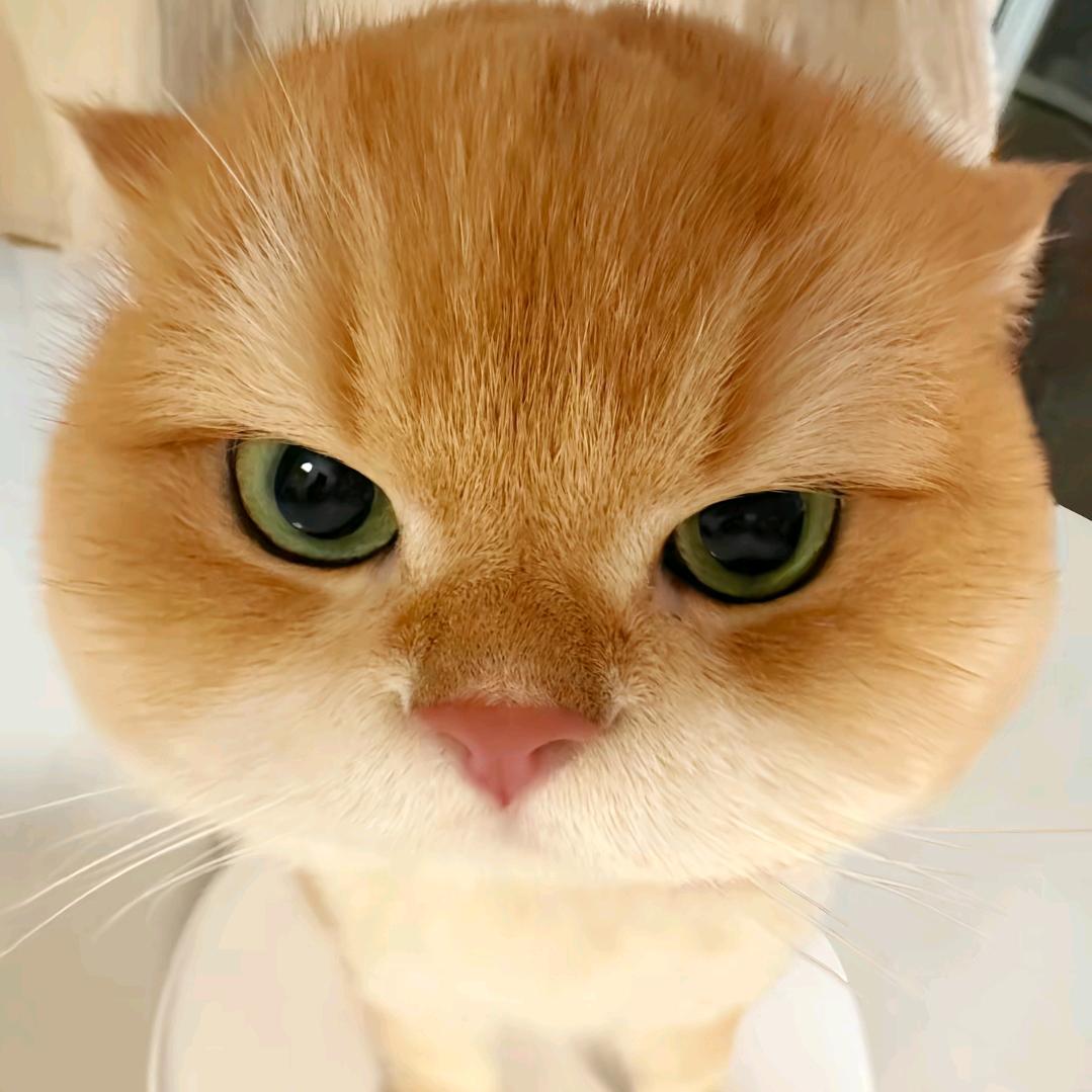 一条好鱼