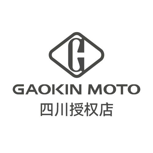 高金动力四川授权店