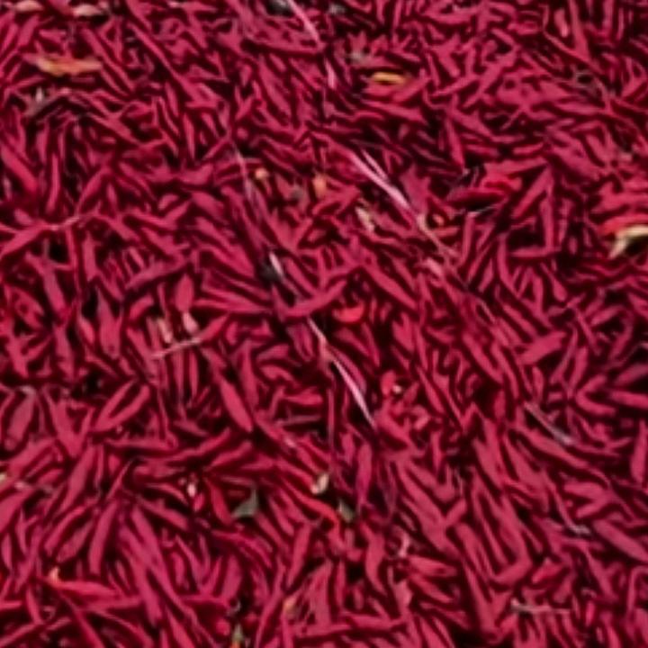 专收辣椒大蒜。