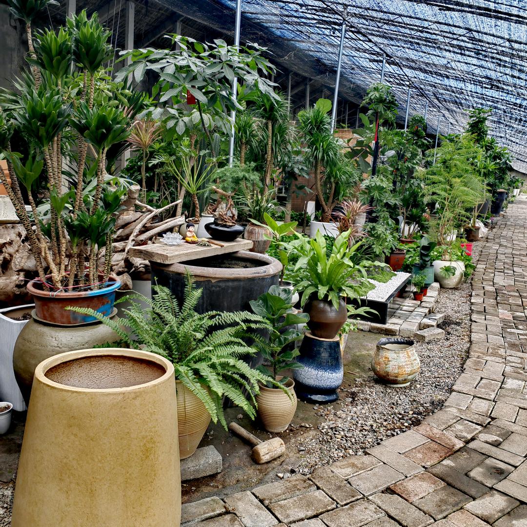 鸿运花卉  租摆  零售   私人定制