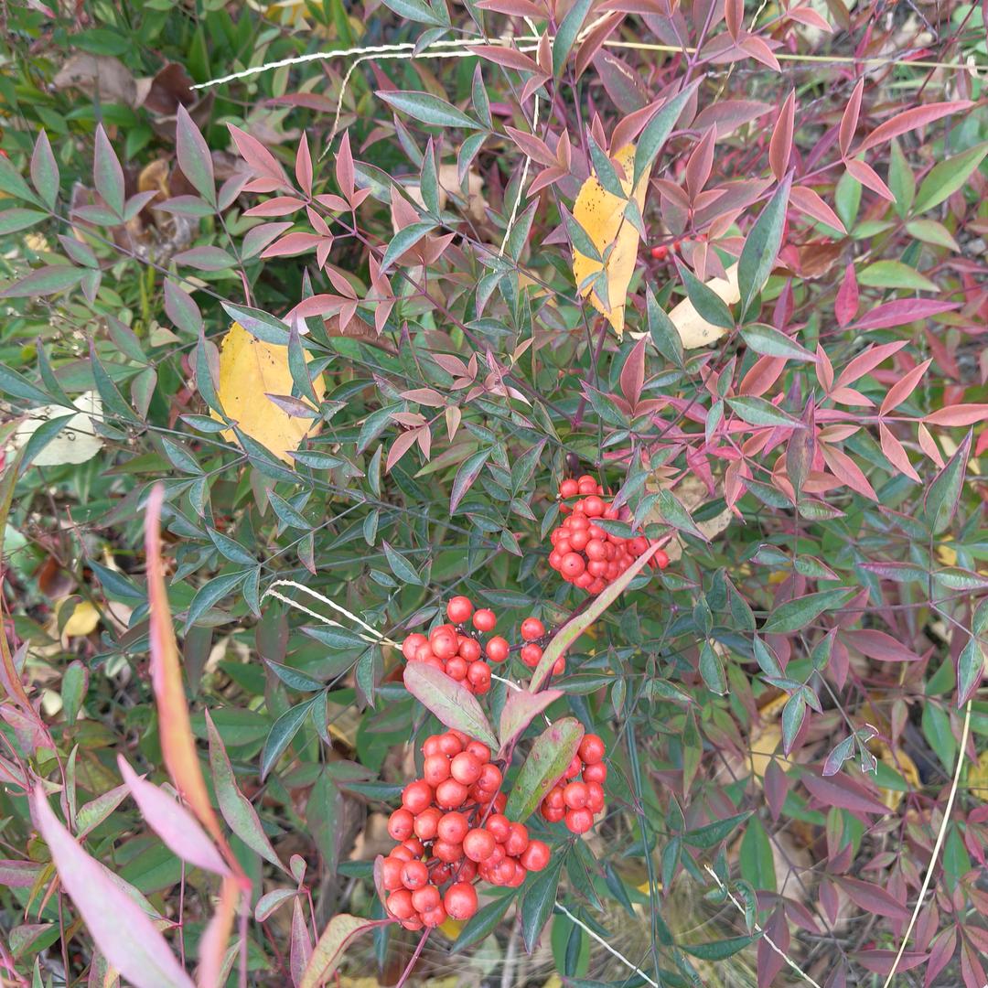 💃🏻美满人生