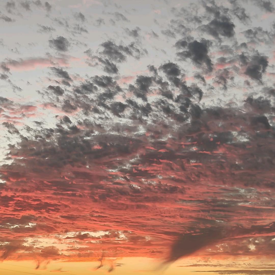 卖地雷的小男孩