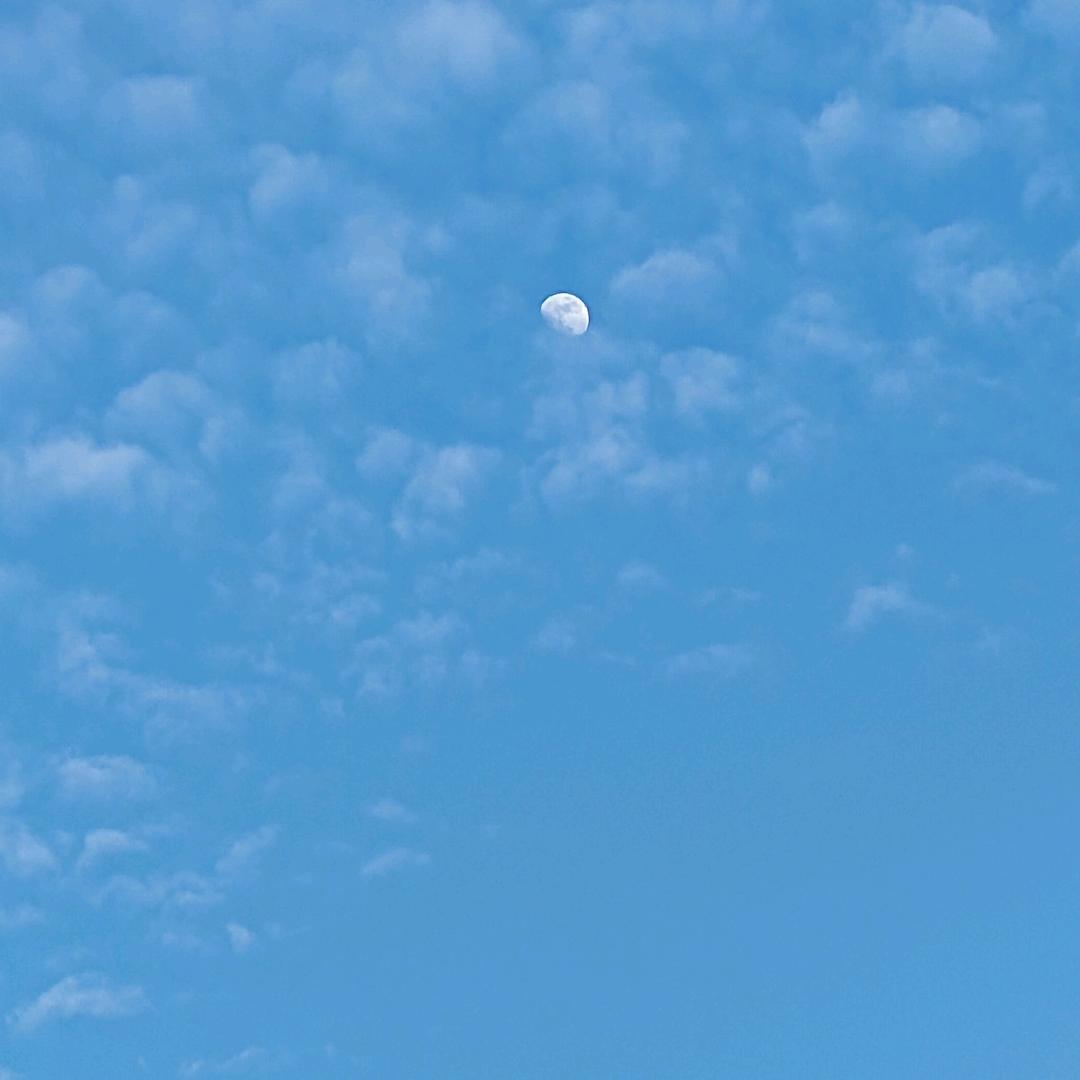 杭州垃圾清运拆除回收废品电话在主页