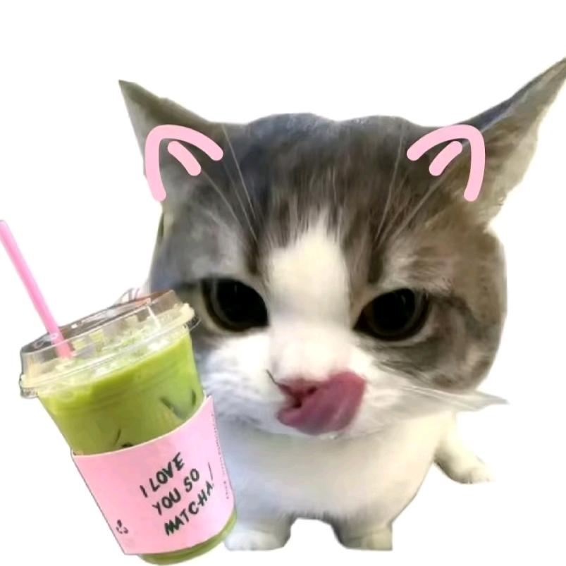 啦啦啦
