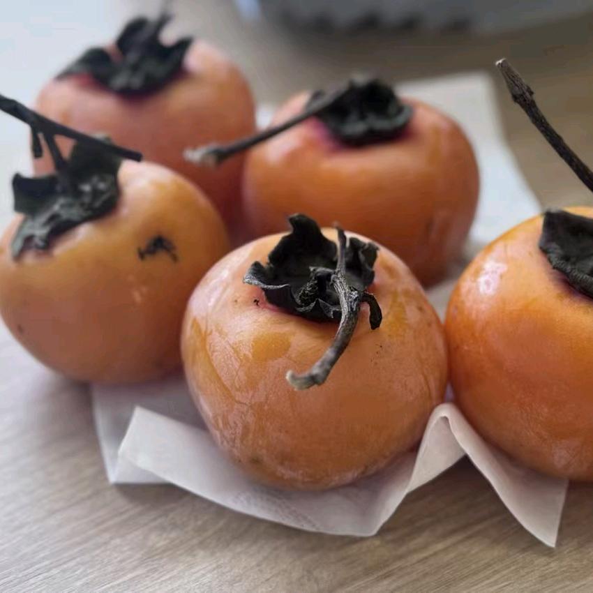 🍅西红柿🍅爱吃