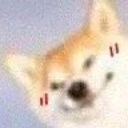 绛籁头像