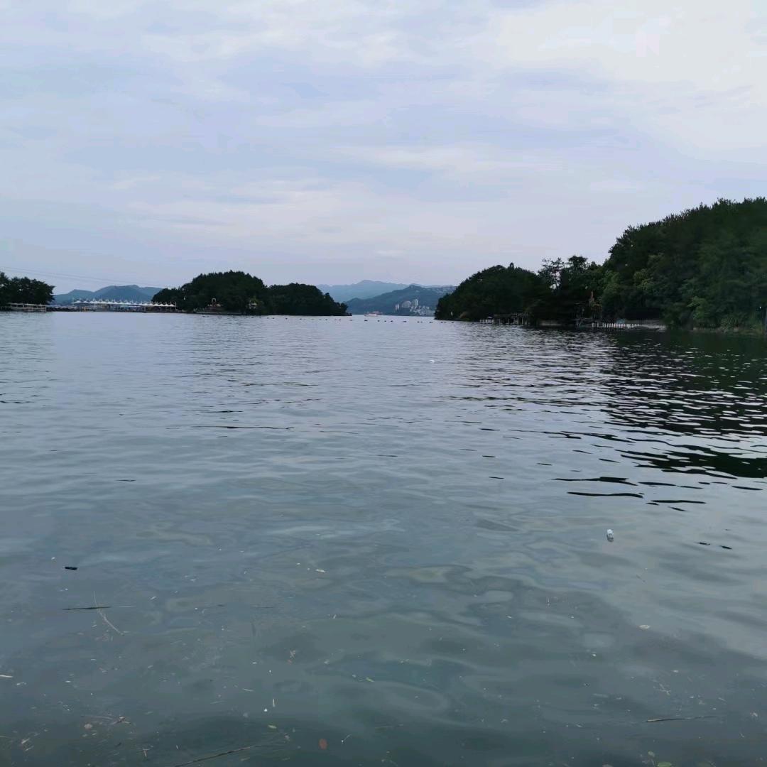 李利军