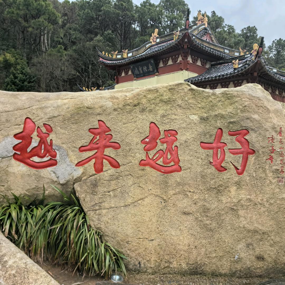 白天不懂夜的黑