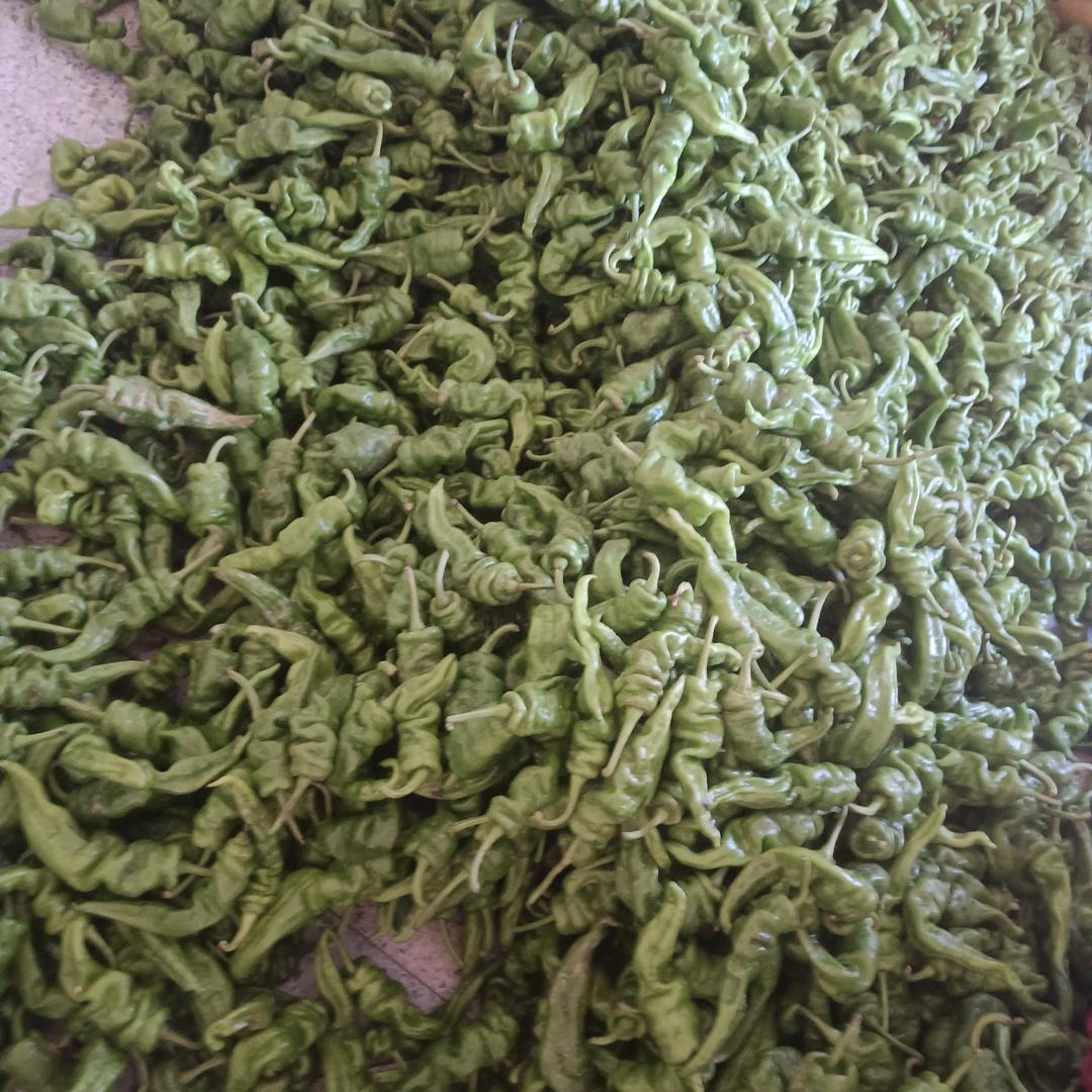 苍天流泪