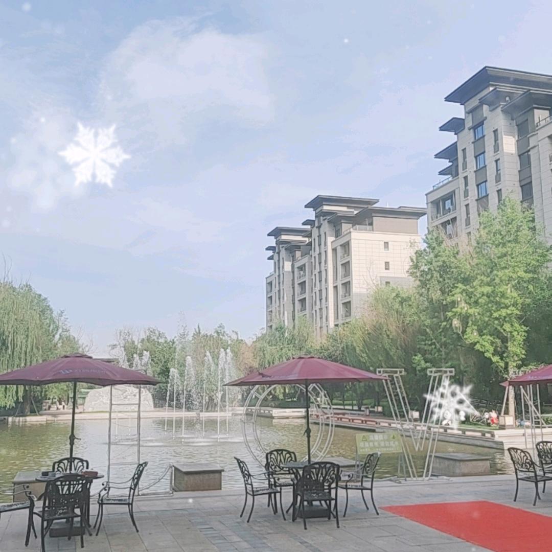 邢台万腾🎒房  陈棋