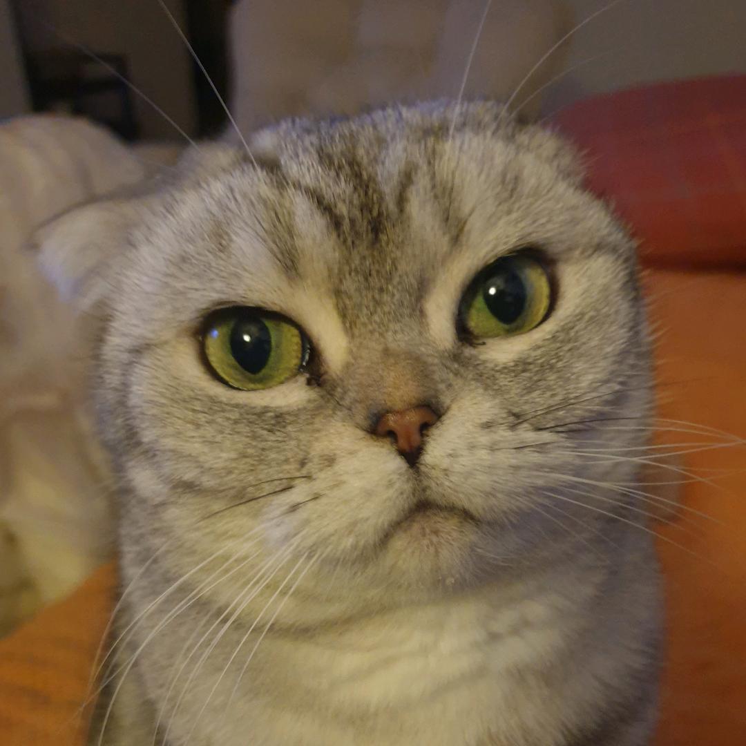 且看我眼神行事