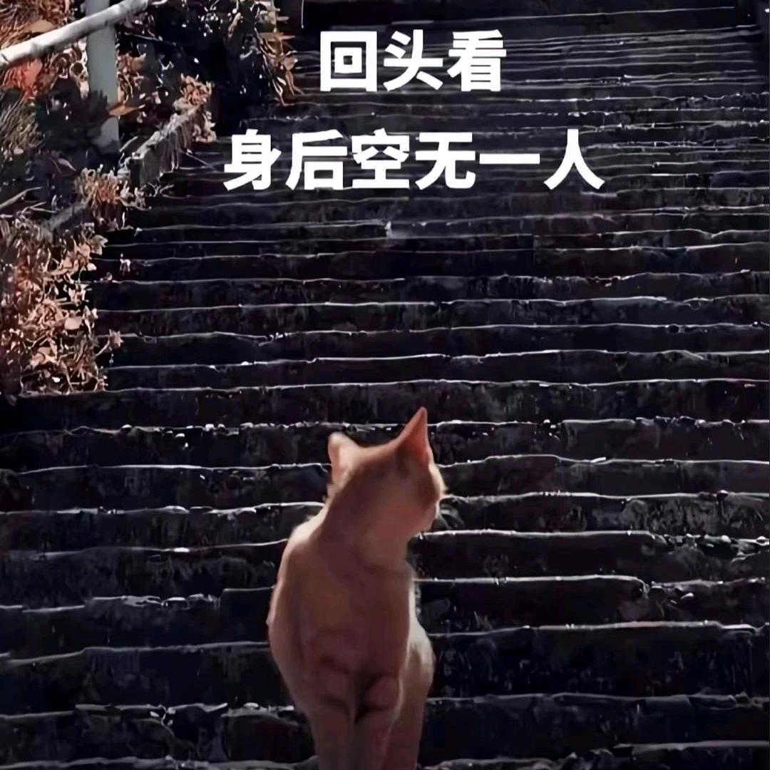 余生随心