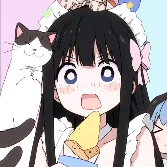 王木木