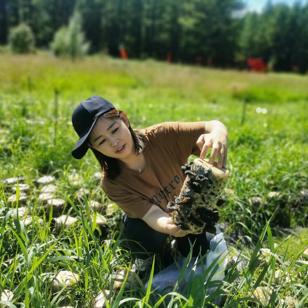 呼伦贝尔奇迹旅游