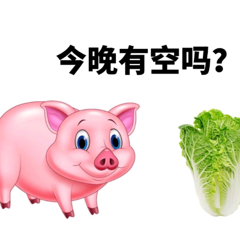 金钱豹