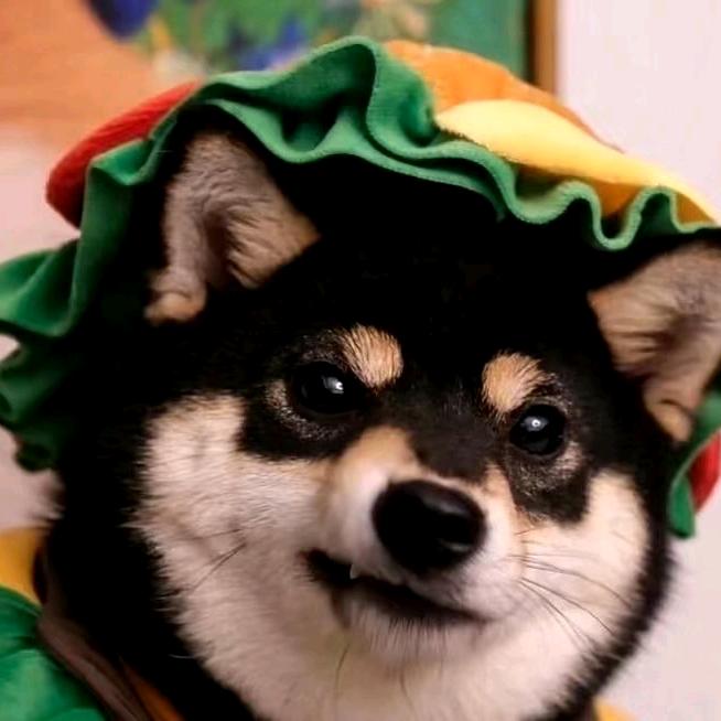 吴迪