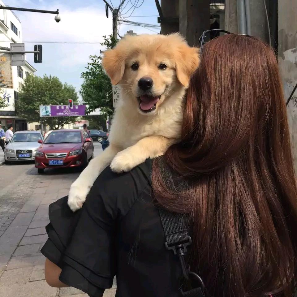 李小妞✨