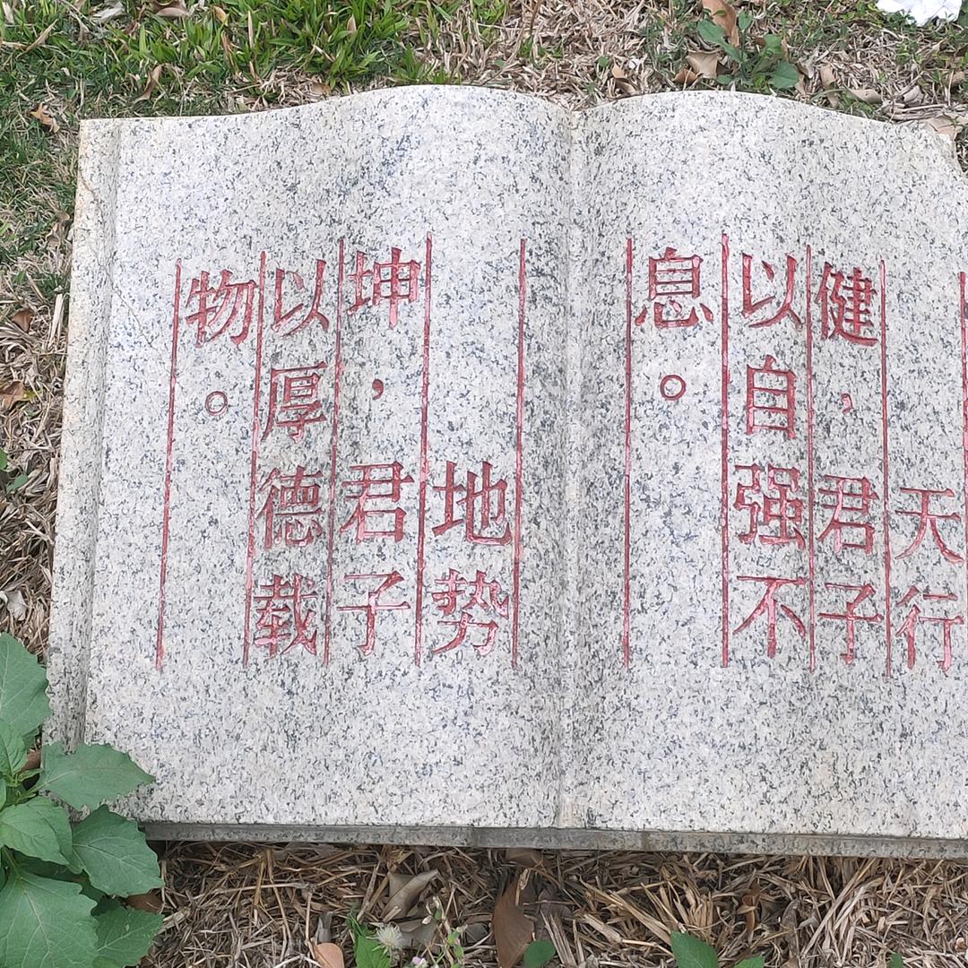 真阳