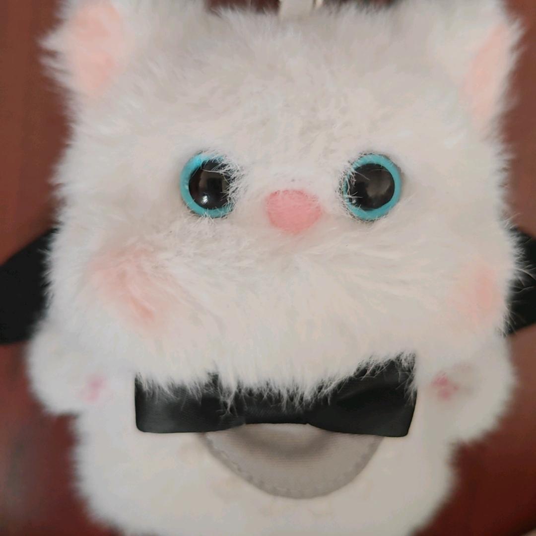 🐱